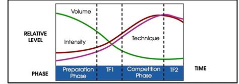 PERIODIZATION TRAINING SIMPLIFIED: YOUR GUIDE TO THE CYCLES AND PHASES ...