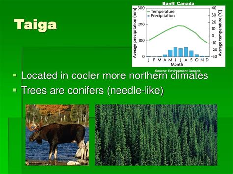 Biome and Cycles of Matter Review - ppt download