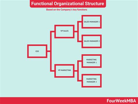 Structure organisationnelle fonctionnelle - FourWeekMBA