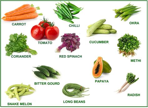 Buy Seed - Variety Other Combo Pack Of 13 Hybrid Vegetable For Terrace ...