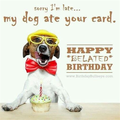 Ha! I love this dog! | Belated birthday, Funny belated birthday wishes ...