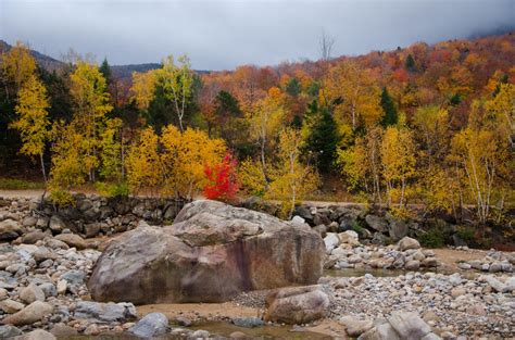 White Mountains Fall Foliage 025 by FairieGoodMother on DeviantArt