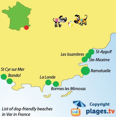 Dog-friendly beaches in Var in France in 2023