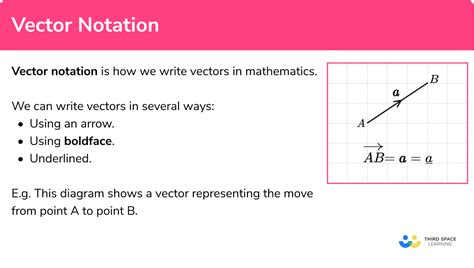 Vector Notation - GCSE Maths - Steps, Examples & Worksheet