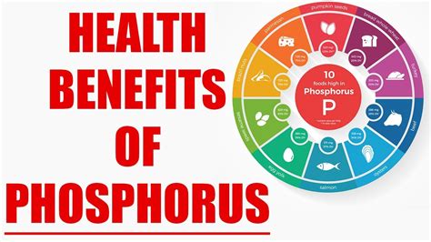 Phosphorus Rich Foods and their Health Benefits | Boldsky - YouTube