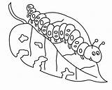 Hungry Caterpillar Coloring Pages For Kids  101 Activity sketch template