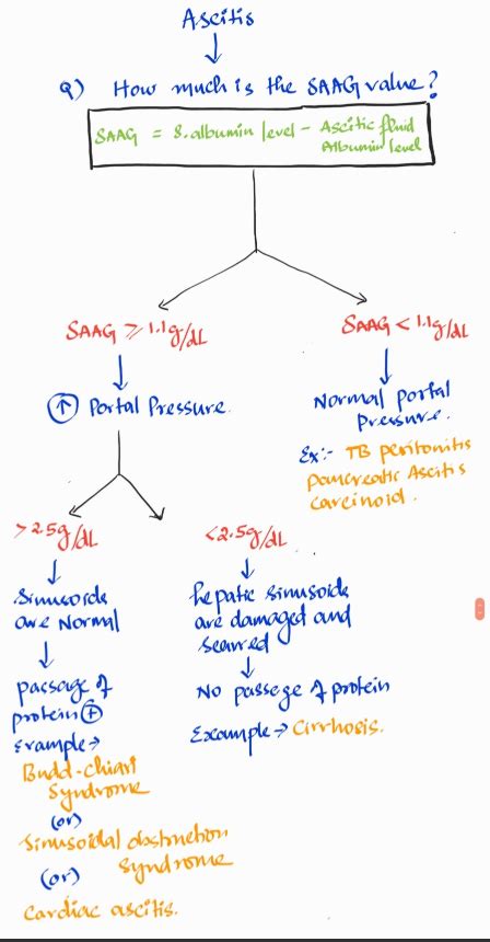 Serum-Ascites Albumin Gradient (SAAG) Ratio