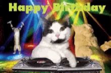 Birthday Cat GIFs | Tenor