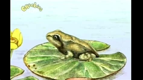 Cbeebies Come Outside FROGS - video Dailymotion