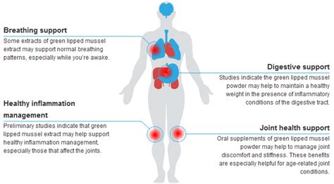 Green Lipped Mussel | Health Benefits of Green Lipped Mussel