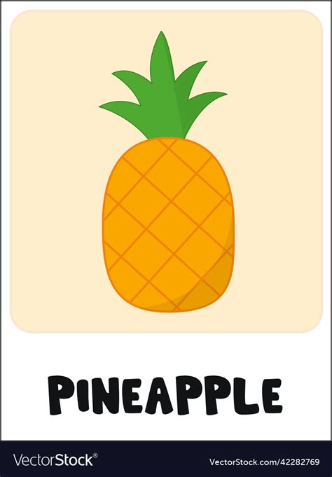 Pineapple flashcard Royalty Free Vector Image - VectorStock