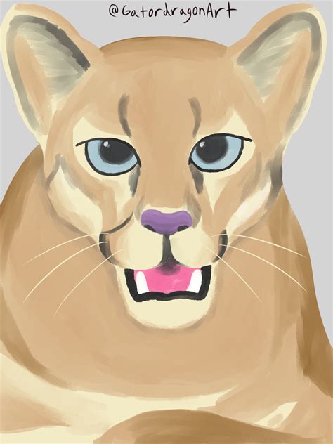 Florida Panther Clipart