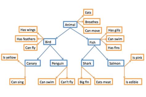 Semantic Memory In Psychology: Definition & Examples