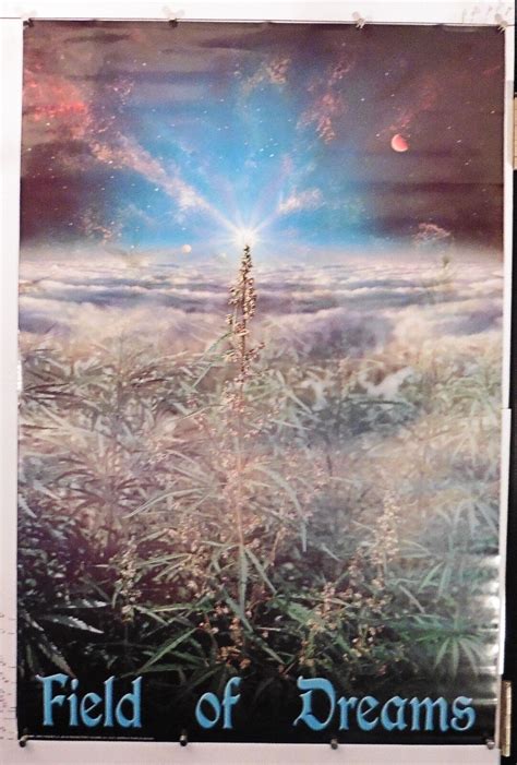 Field of Dreams VINTAGE marijuana plant poster (24.25" X 36.50") NOS ...