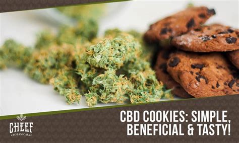 The Best CBD Cookies Recipe YOU Can Easily MAKE ANYTIME