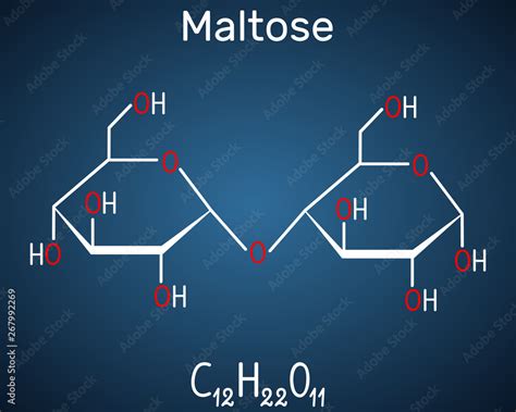 Maltose Structure Diagram