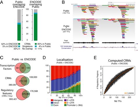 Comparison with ENCODE and integration with public data. (A ...