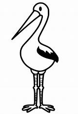 Printable Stork Coloring Page  Free Pages For Kids sketch template