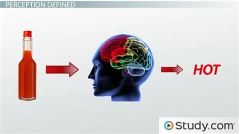 ⚡ Sensation and perception psychology definition. Sensation and ...