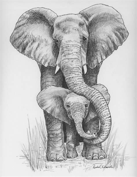 Pen and Ink drawing of mama and baby elephant Print