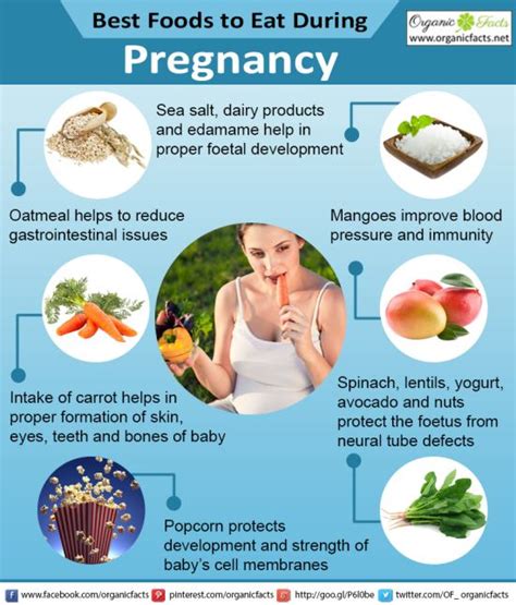 15 Best Foods to Eat During Pregnancy | Organic Facts