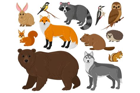 Cartoon forest animals, owl, bear, fox, raccoon and squirrel