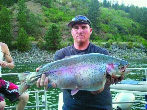 Idaho has its own version of Lake Rufus Woods rainbows | The Spokesman ...