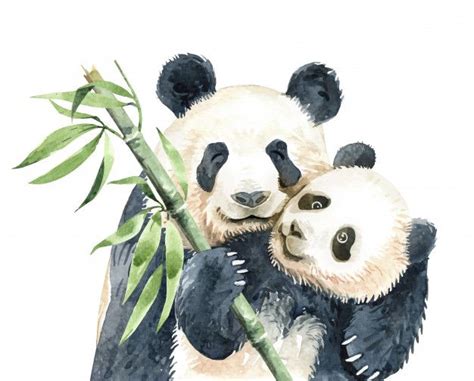 Panda De Aquarela E Panda Bebê Com Bambu | Panda illustration, Panda art, Baby panda