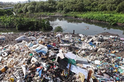 The story of Mumbai's abused, polluted Mithi river is anything but sweet