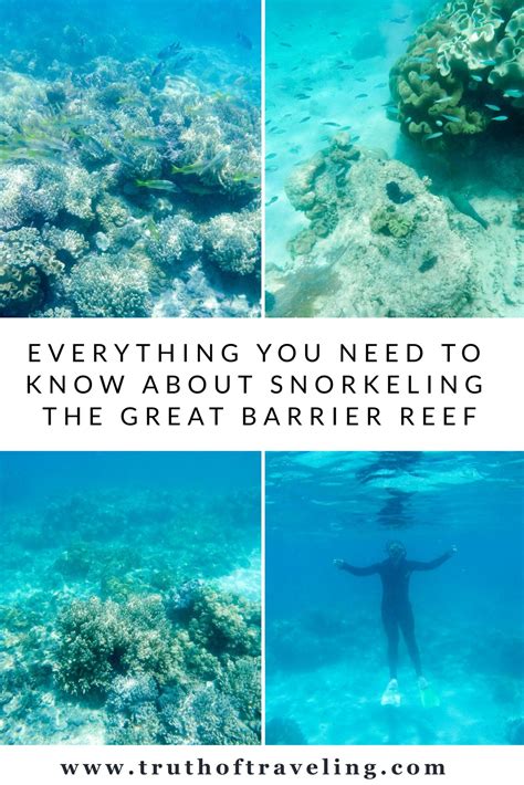 Everything You Need to Know About Snorkeling the Great Barrier Reef ...