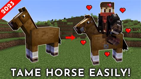 How to Tame & Ride Horse in Minecraft (Java/Bedrock/PE) - YouTube