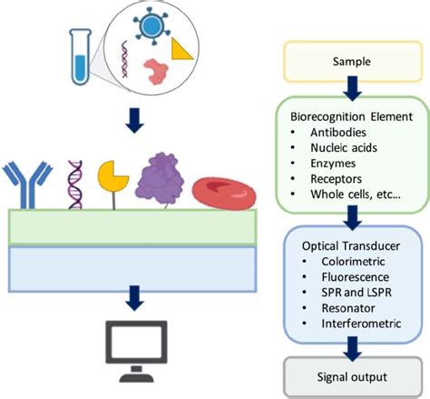 A general illustration of optical biosensors. | Download Scientific Diagram