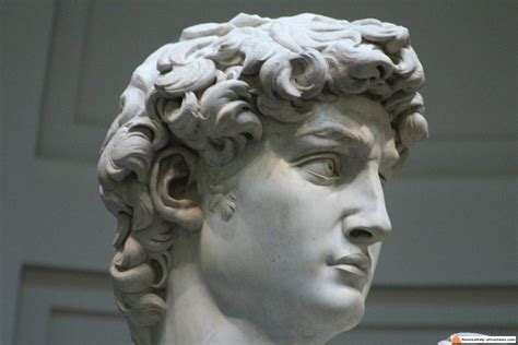 Michelangelo's David - The statue - Your Contact in Florence