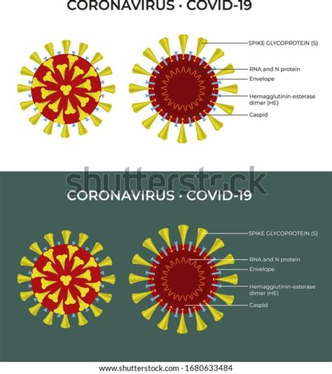 Coronavirus Cell Structure Concept Illustration 2020 Stock Vector ...