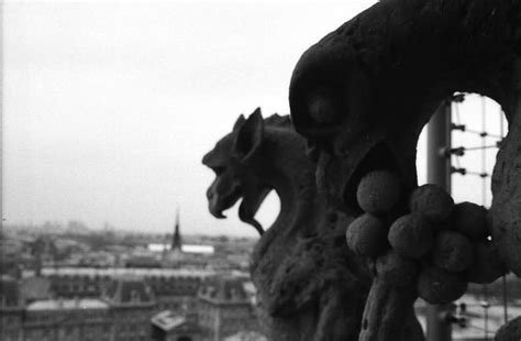 Gargoyles of Notre Dame by nathan8.deviantart.com on @deviantART ...