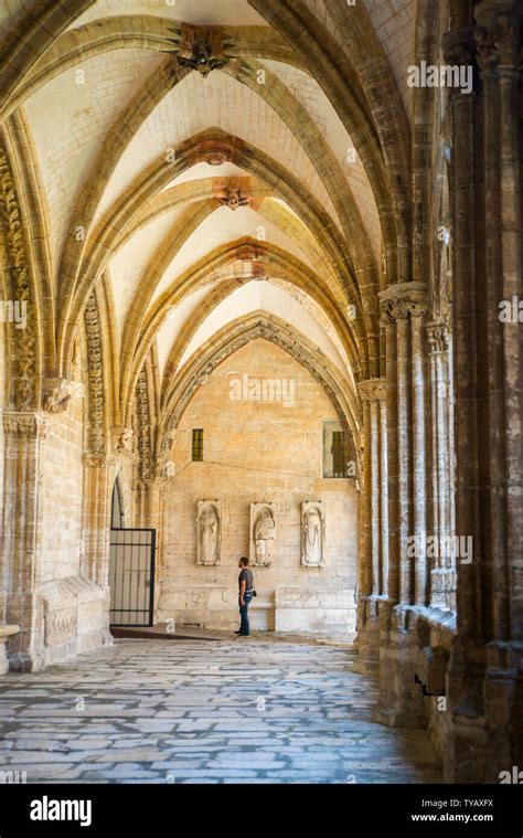 Oviedo Cathedral, Spain Stock Photo - Alamy