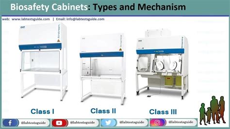 Two Types Of Biosafety Cabinet | Porn Sex Picture