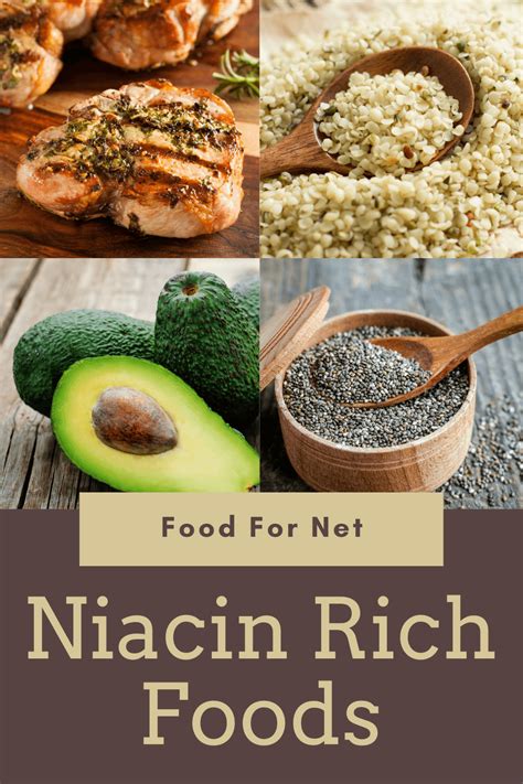 18 Niacin Rich Foods So You Can Keep Your Vitamin B3 Levels Up | Food For Net