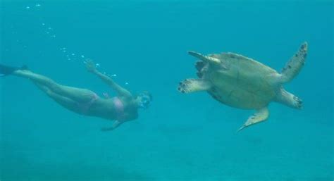 Snorkeling of the coast of the British Virgin Islands with my sister ...