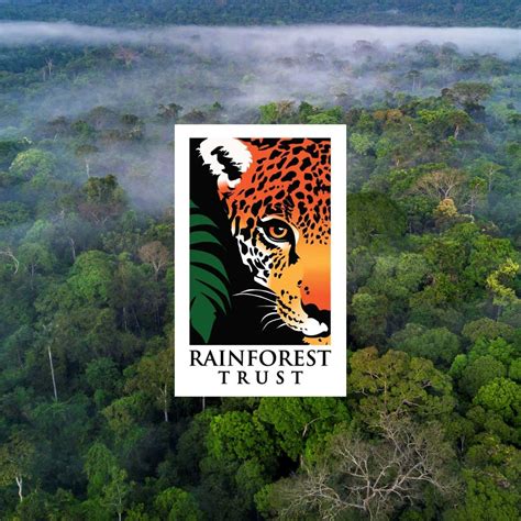 Rainforest Trust - Why This Partnership Means Everything To Our People | Lifeboost Coffee