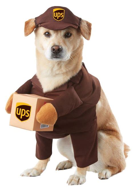 UPS Dog Costume X-Small- Buy Online in United Arab Emirates at ...