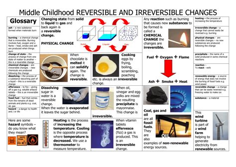 ReversIble and Irreversible Changes