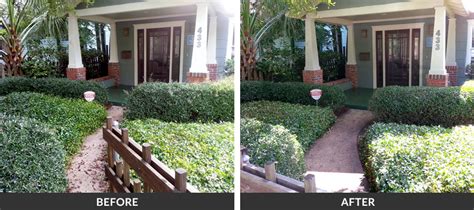 Hedge Trimming & Shrub Pruning in Gainesville, FL