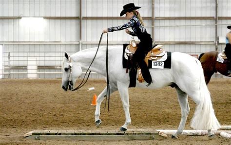 Photo Gallery: Quarter Horse Show | Events | tucson.com