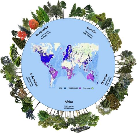 More Than 9,000 Tree Species Await Scientific Description | The ...