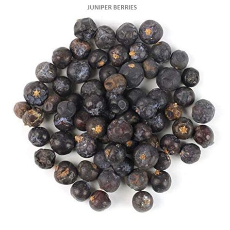 Buy Organic Wild Juniper Berries Online Of high quality in Mohali at best price - Chandigarh ...