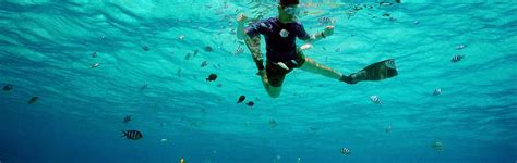 Snorkeling in Goa: Book Now @ Upto 50% Off