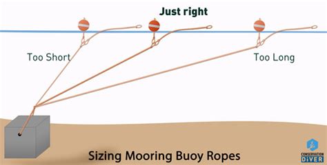 How to Make Mooring Lines - Conservation Diver