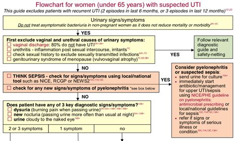 Urinary Tract Infection (UTI) – GP Gateway