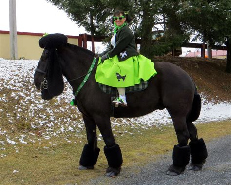 Poodle halloween horse costume Horse Halloween Costumes, Pet Costumes, Cool Costumes, Costume ...